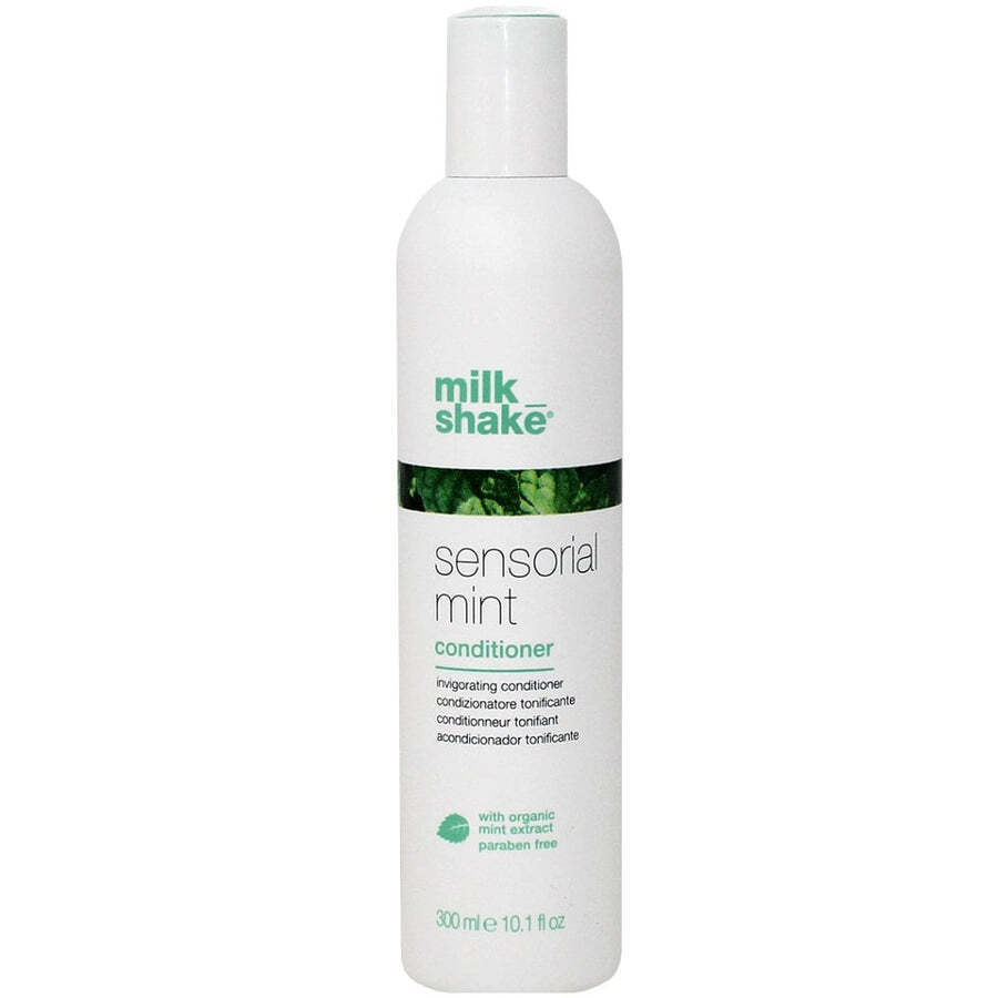 Milk Shake Hair Care Products